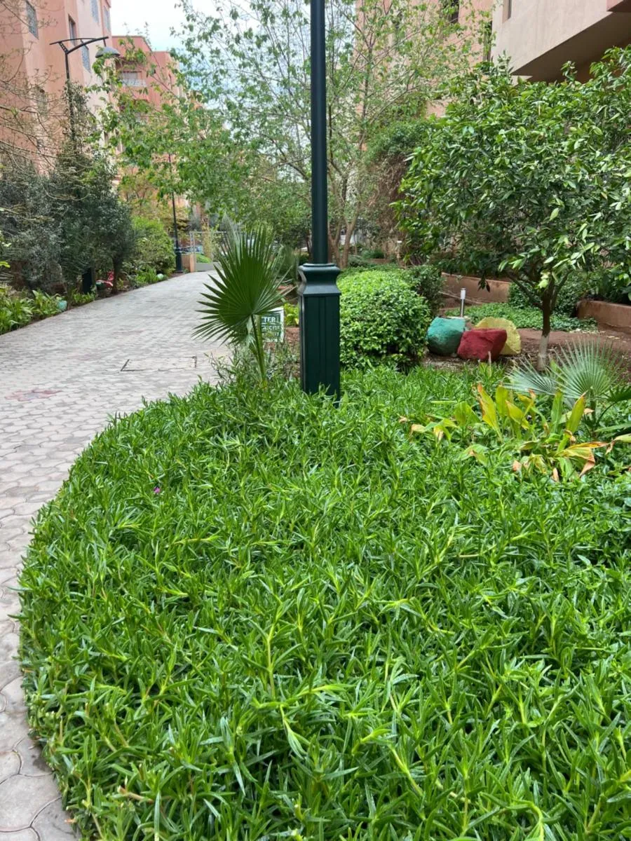 Image 5 of Appartement safran avec piscine