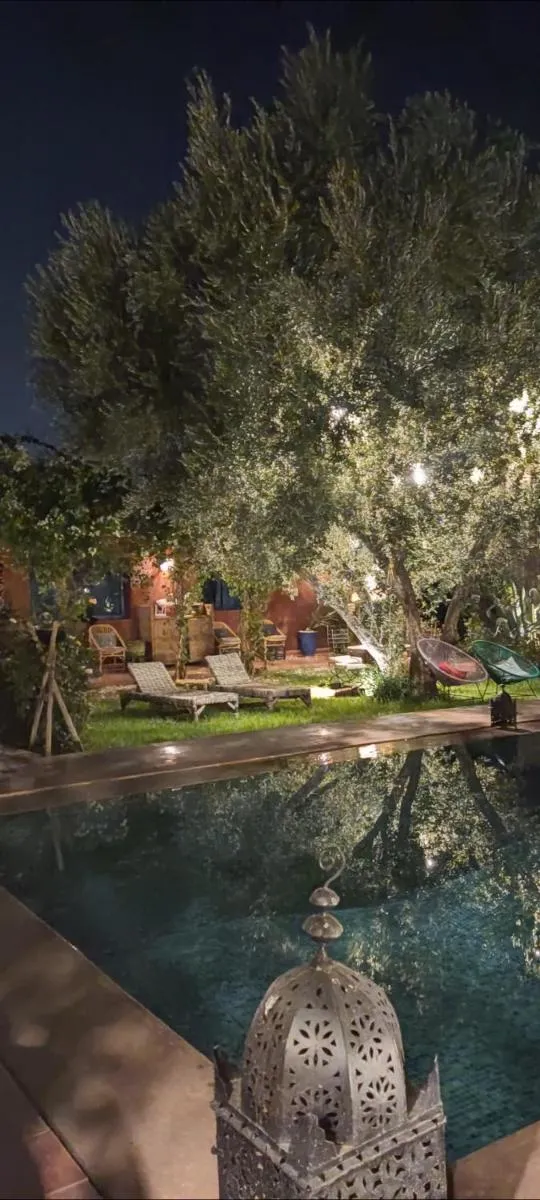 Image 4 of Beldicolors