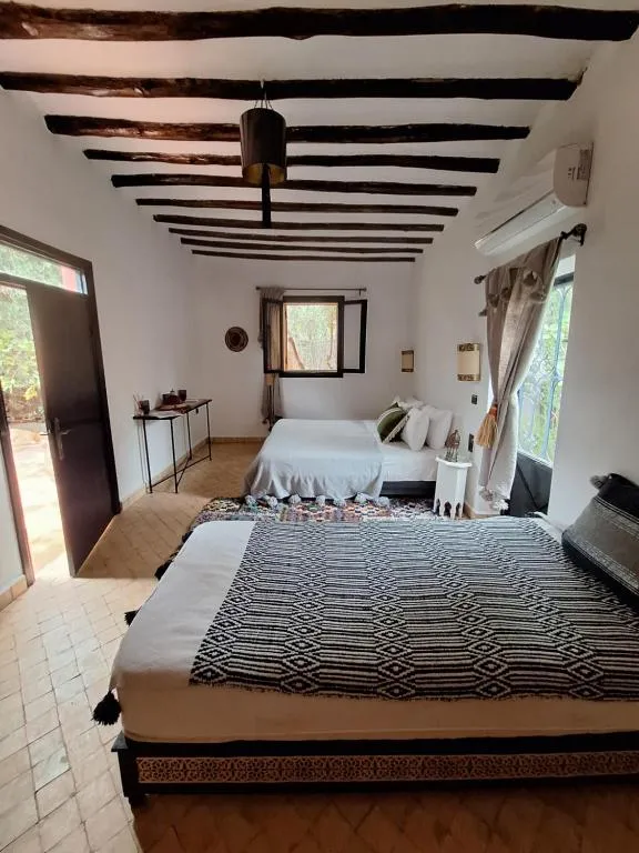 Image of Beldicolors