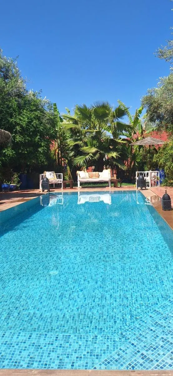 Image 3 of Beldicolors