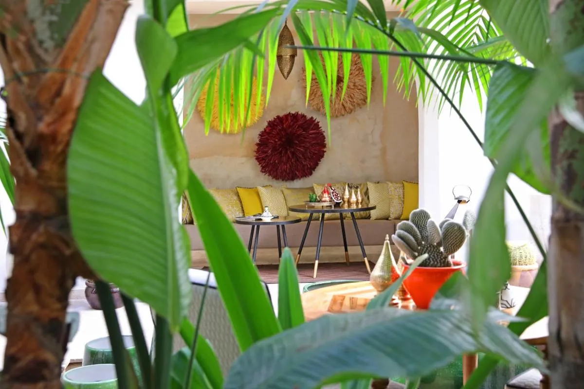 Image 4 of Dar Kandi