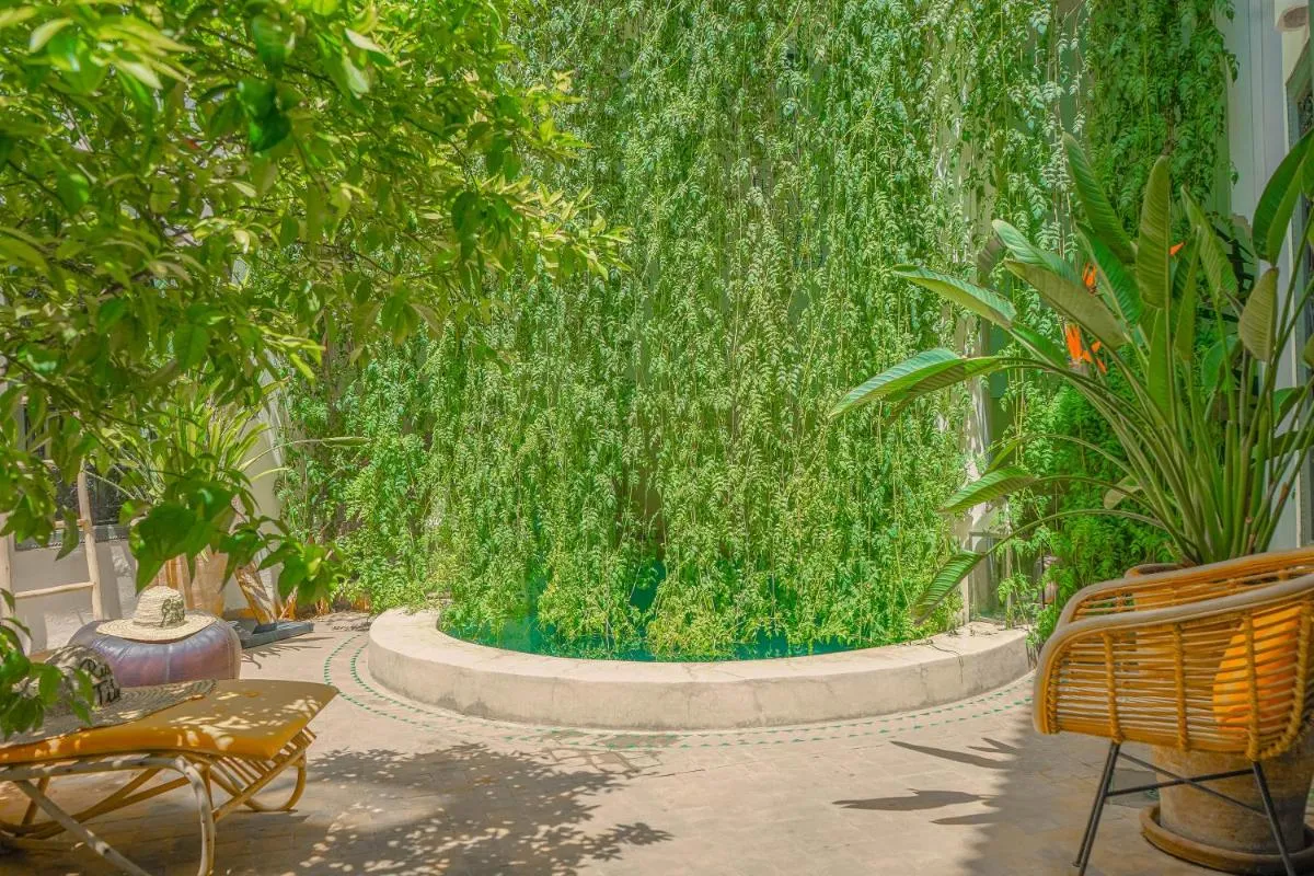 Image 6 of Dar Titrit