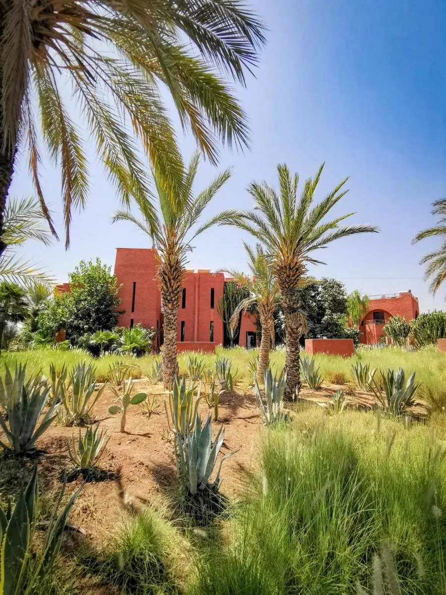 Image 5 of Jnan Lotf Marrakech