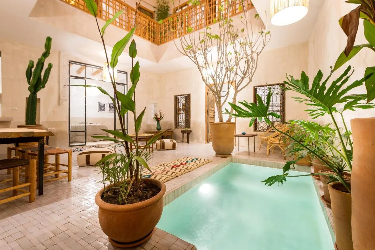 Image 2 of Medina Sun