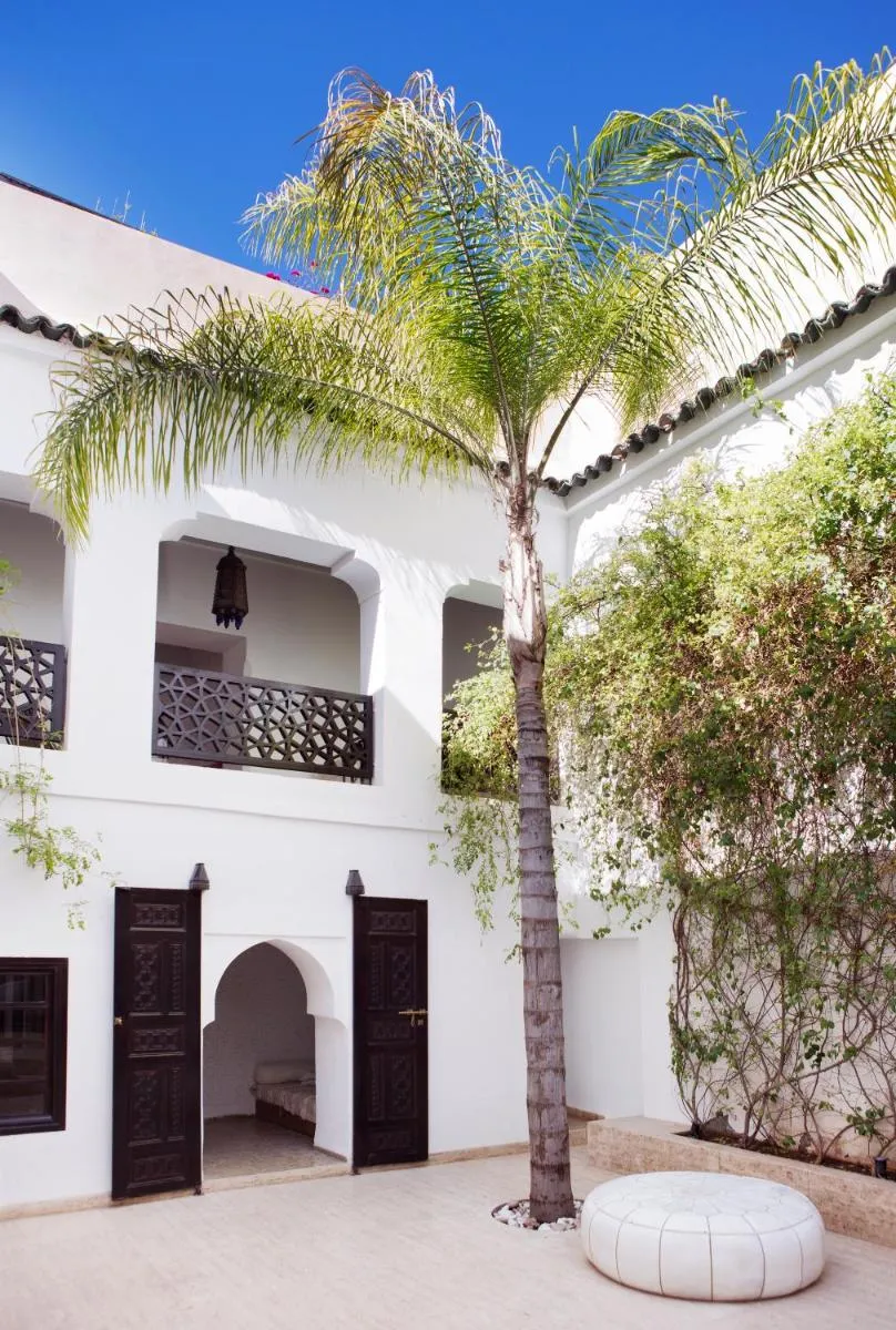 Image 6 of P´tit Habibi