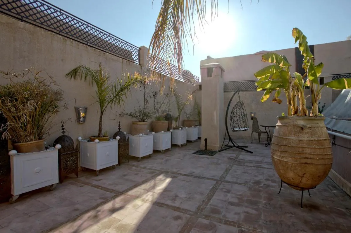 Image 4 of RIAD DREAMS