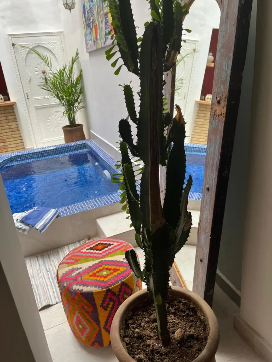 Image 5 of RIAD JULILU PRIVATISE