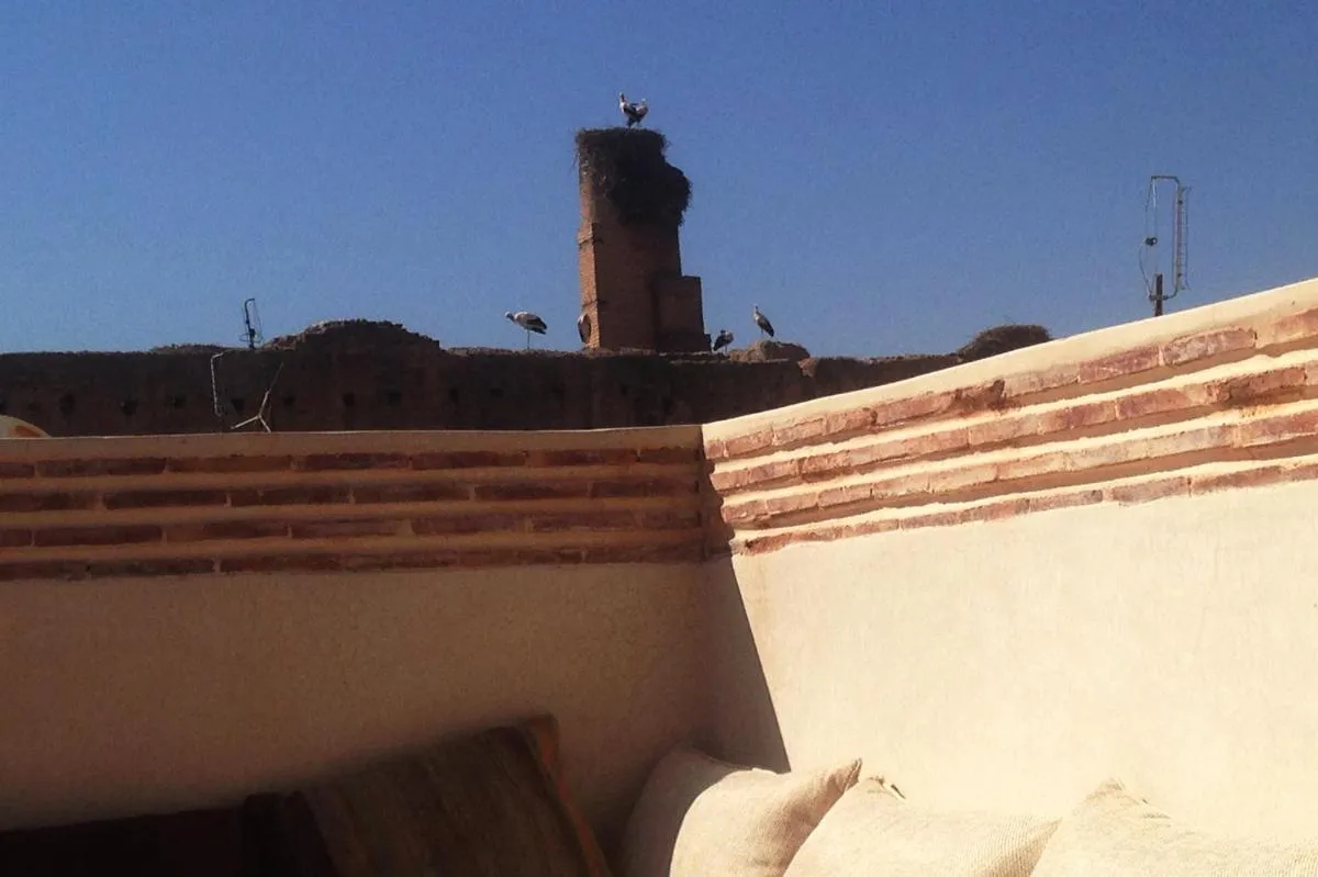 Image 4 of RIAD OF THE STORKS – Exclusive use for up to 17 persons