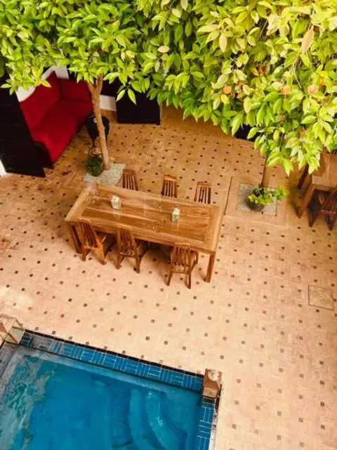 Image 4 of Riad Ajmal