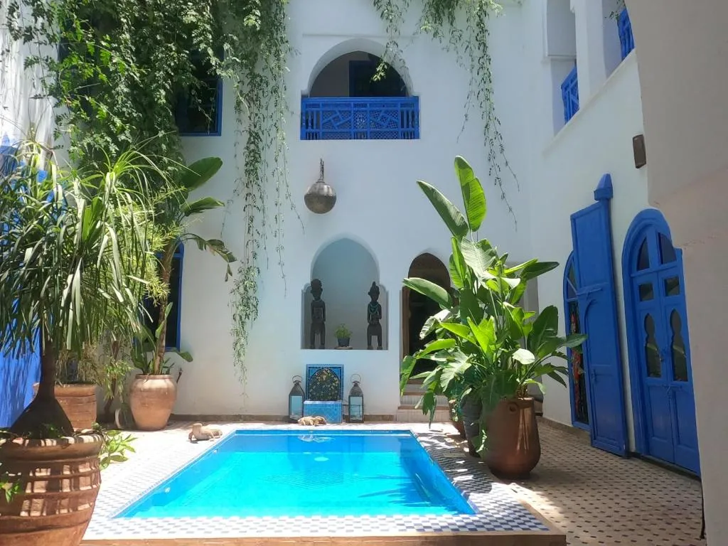 Image of Riad Chameleon