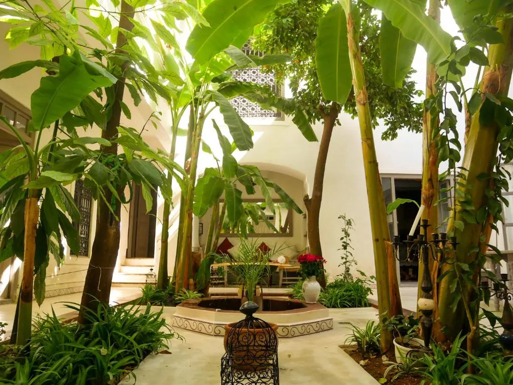 Image of Riad Dar Aman