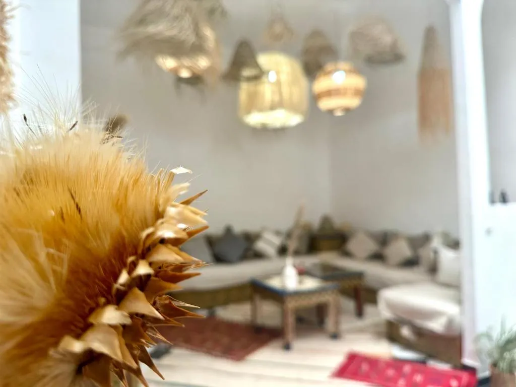 Image of Riad DarDamia