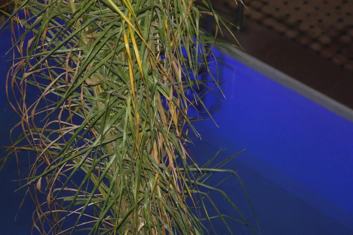 Image 1 of Riad Dar Moulay Ali