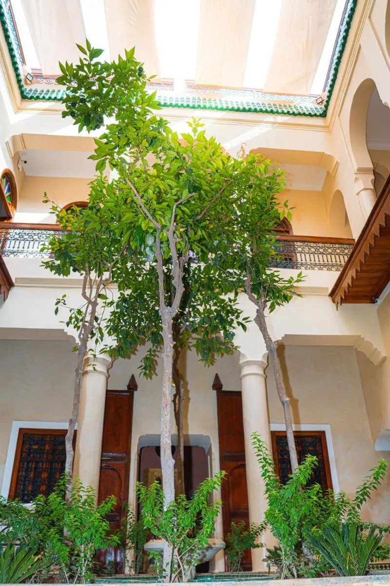 Image 5 of Riad Dar Zaouia