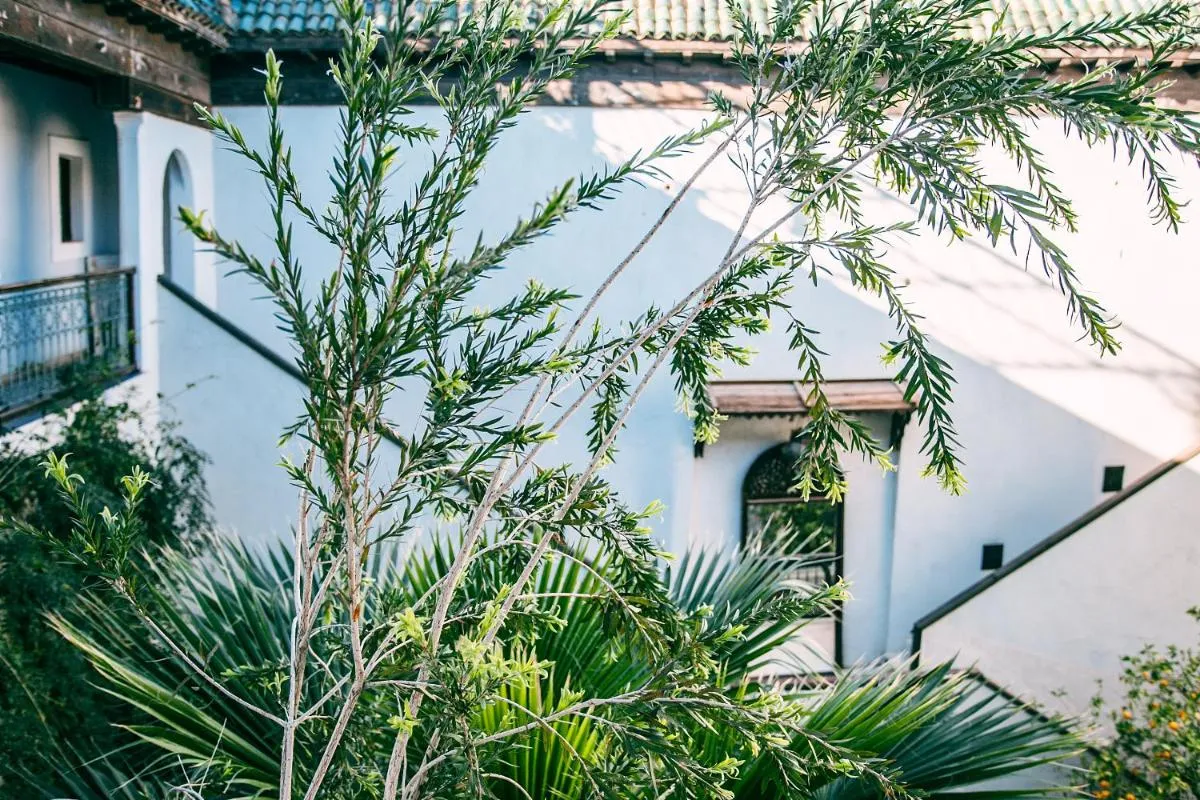 Image 2 of Riad Le Rihani