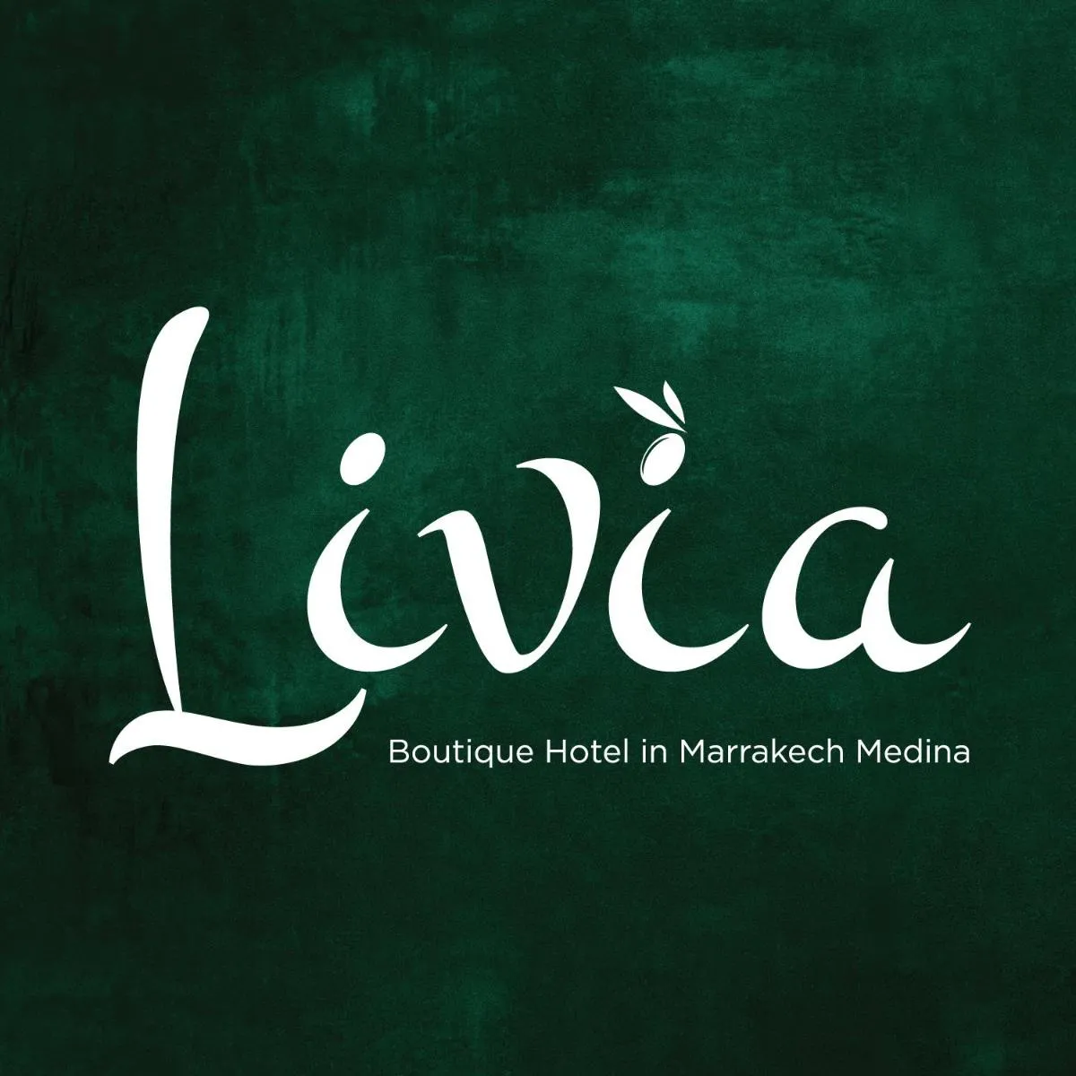 Image 3 of Riad Livia Marrakech – Adults Only