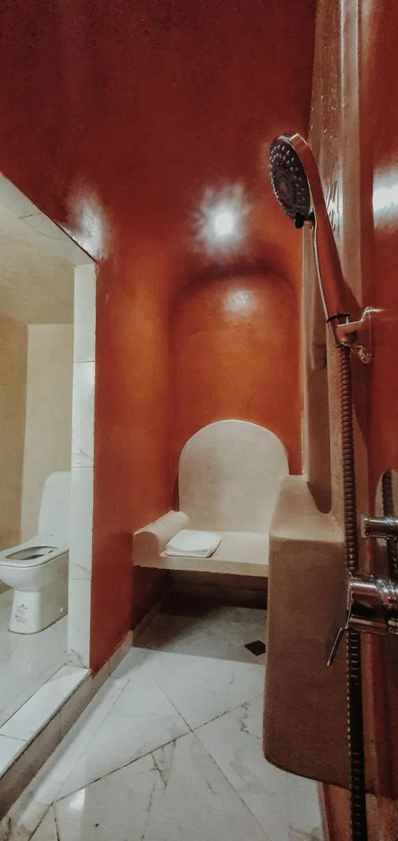 Image 4 of Riad Safran Ralya