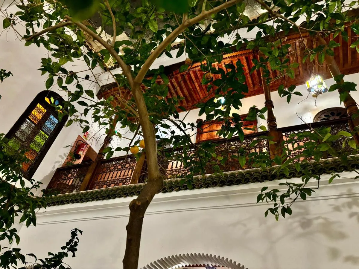 Image 6 of Riad Taghia