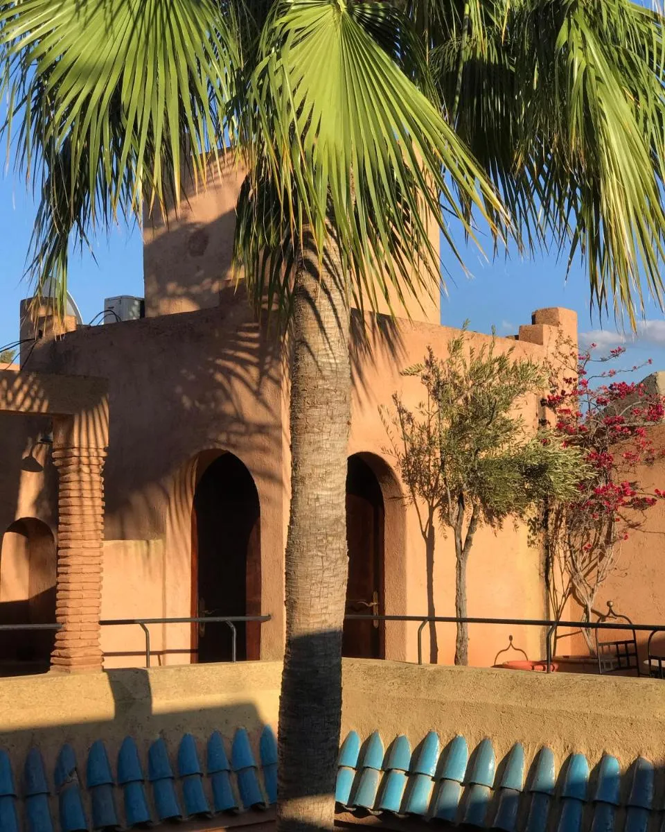 Image 6 of Riad Zahir