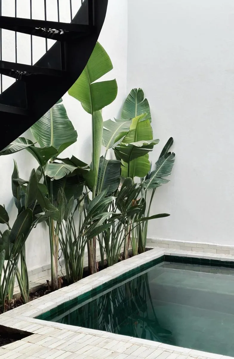 Image 6 of Riad de l’Ô / Serene Designer Oasis ~ Pool ~ Rooftop
