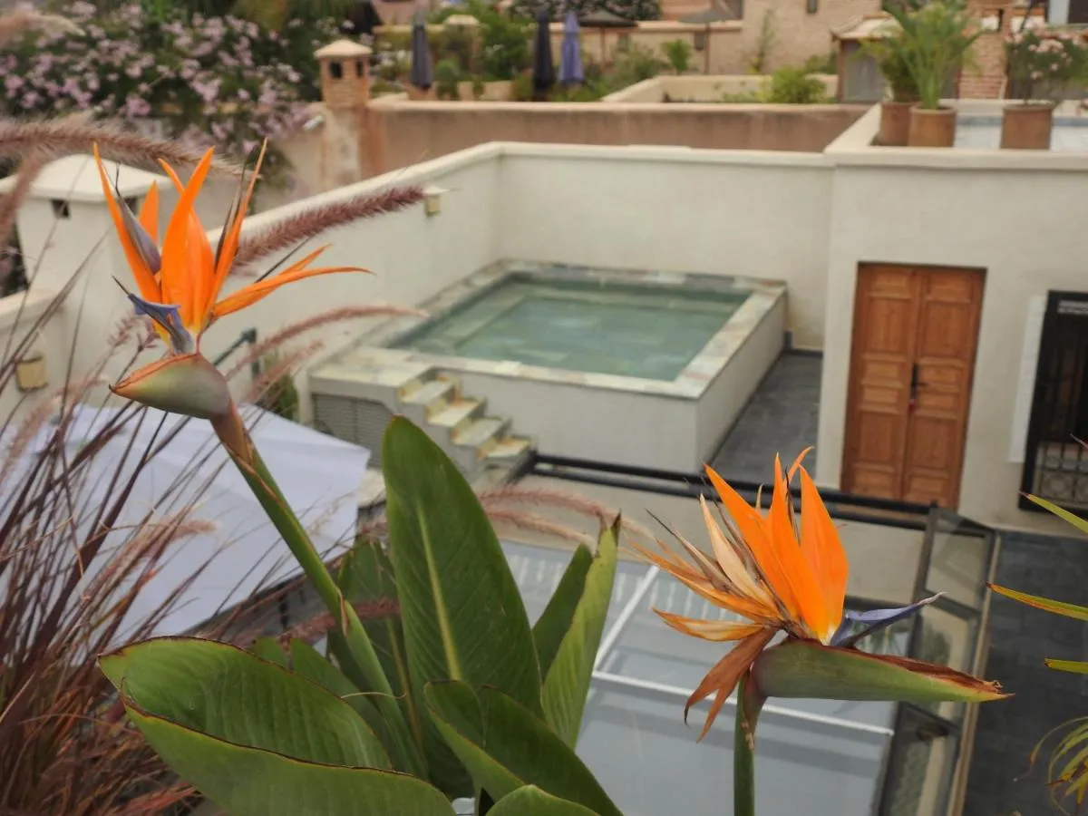 Image 1 of Ryad Selyen