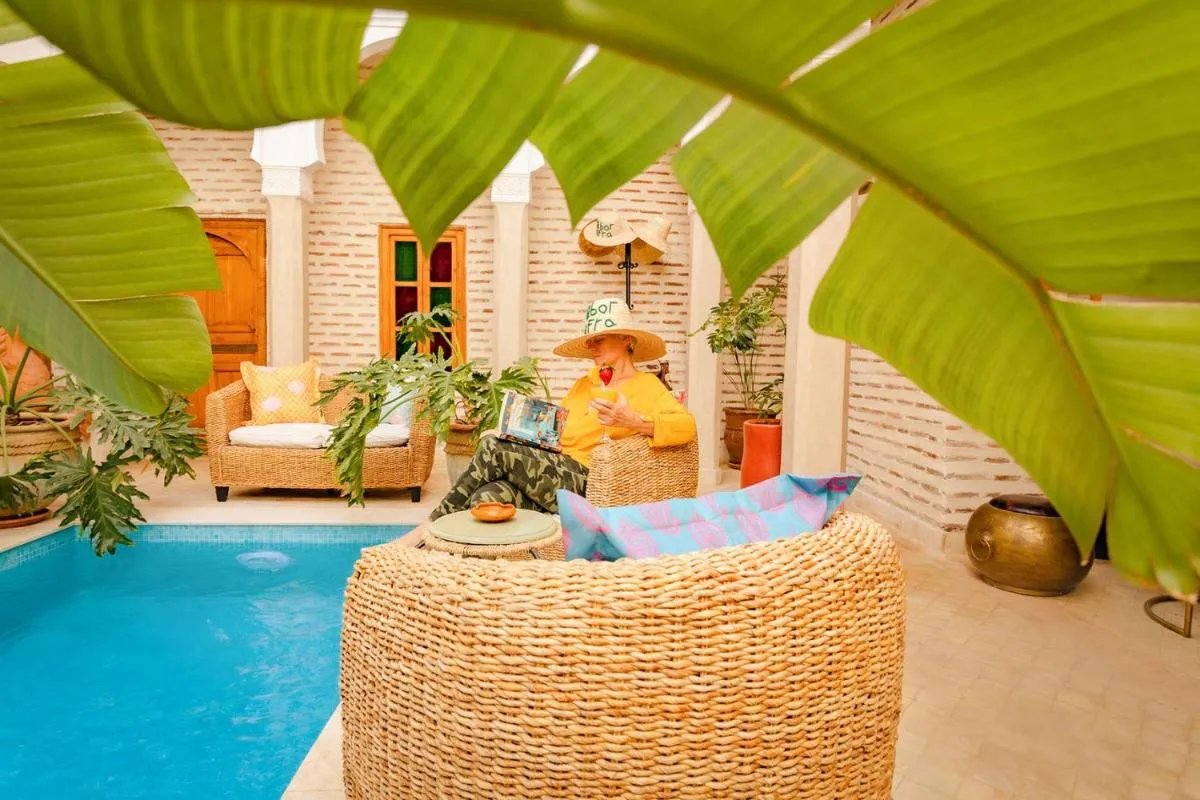 Image 2 of SABOR SAFRA