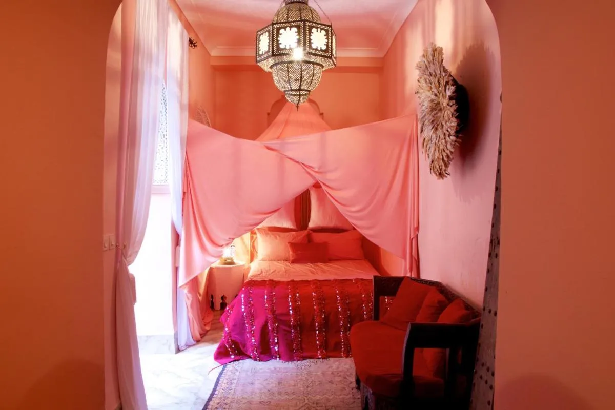 Image 2 of The Bohemian Jungle