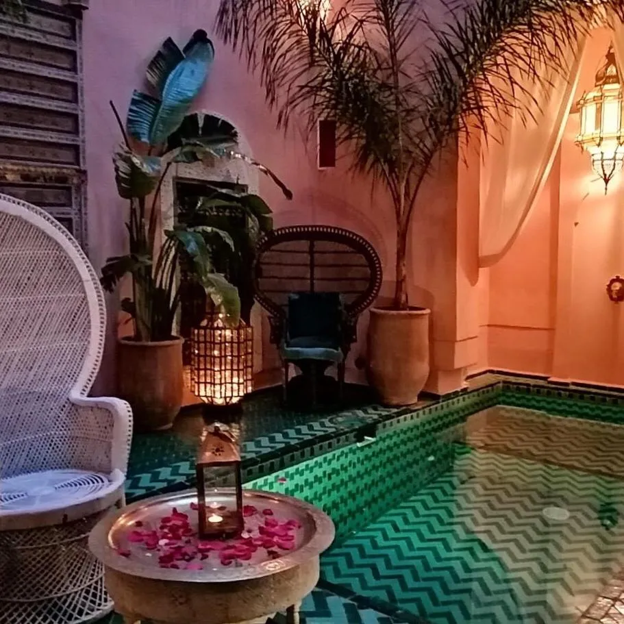 Image 5 of The Bohemian Jungle