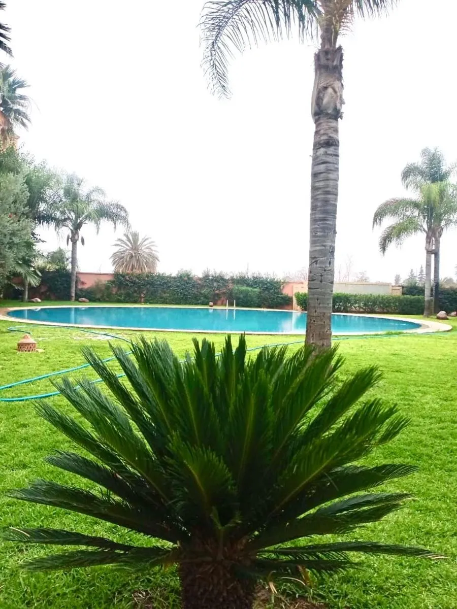 Image 5 of Beautiful Hivernage Apartment with Pool & Balcony, Near Attractions