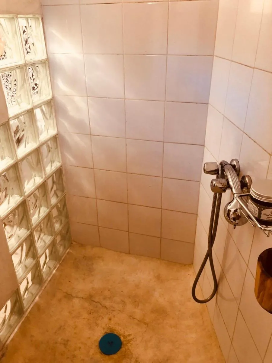 Image 5 of Dar Christine