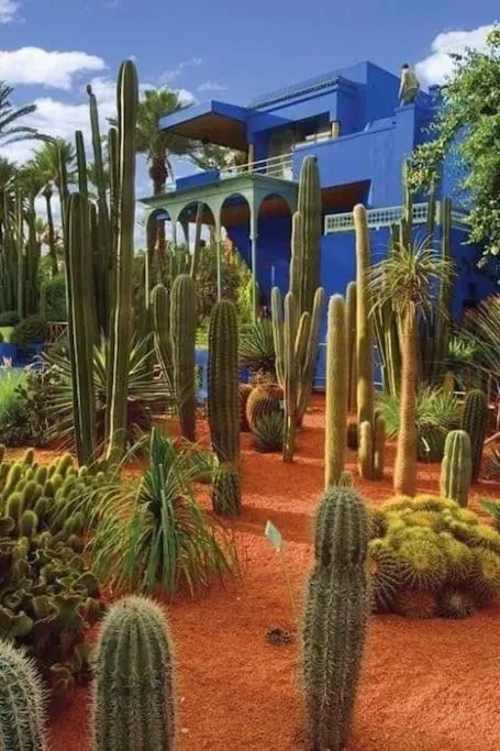 Image 5 of Jardin Majorelle Appartement