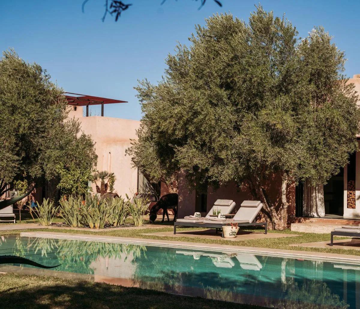 Image 3 of Jardin Sakina – Chambre d’hôtes