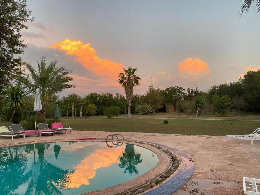 Image of La Vie En Rose – Horses & Dogs House