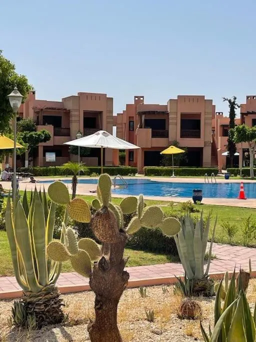 Image 3 of Merveilleuse Marrakech!