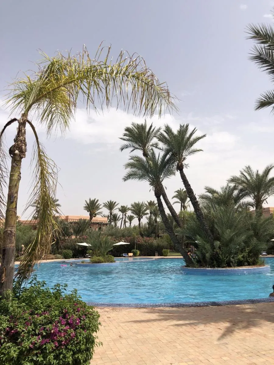 Image 4 of Palmeraie Charly’s