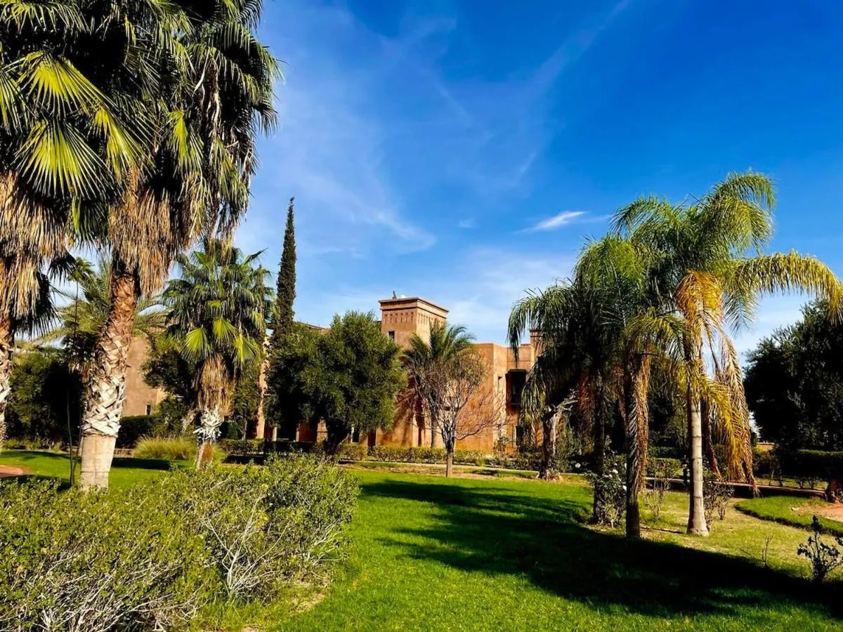 Image 2 of Private Riad Alemania in Marrakesh – Pool – Rooftop