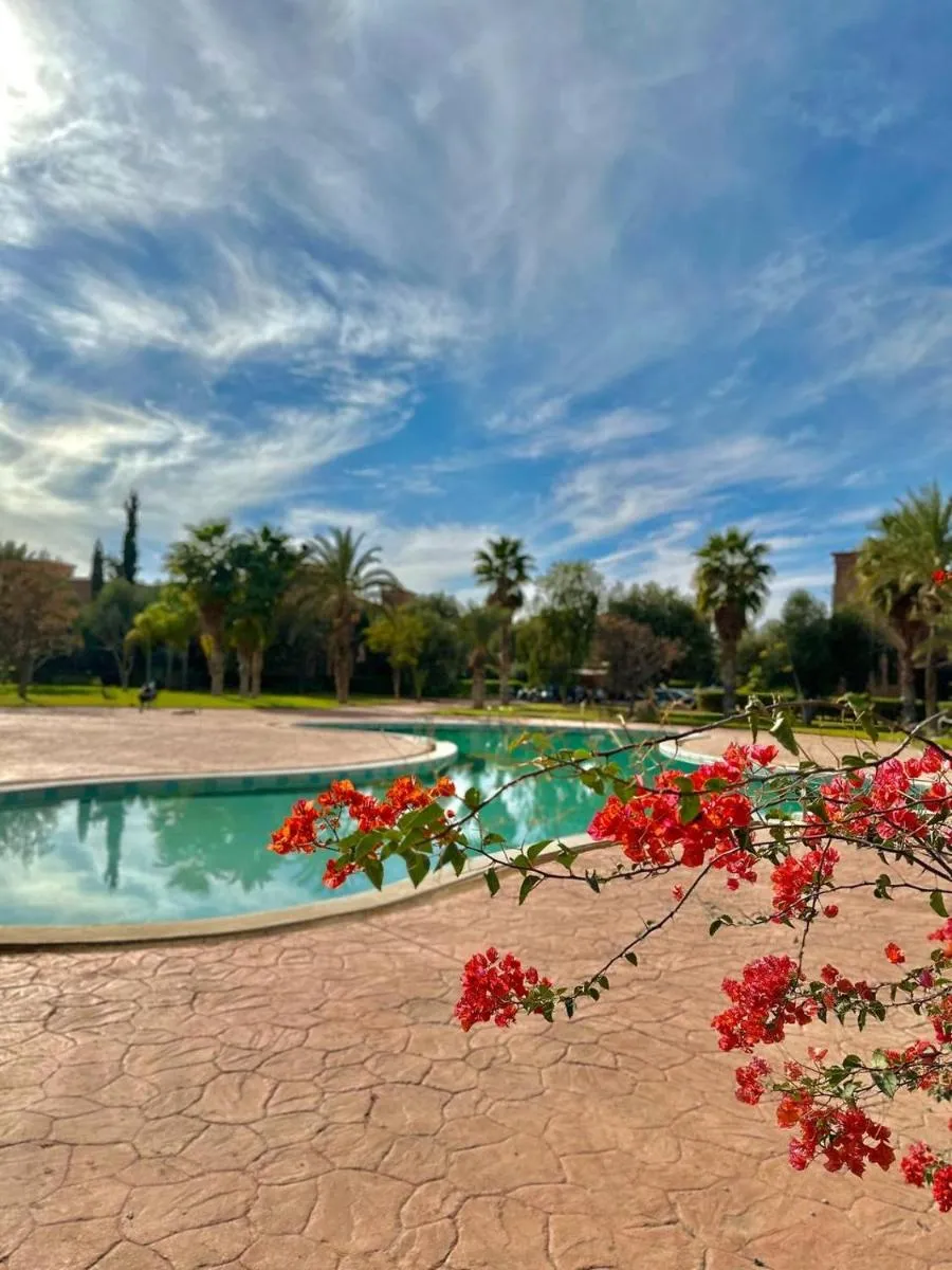 Image 5 of Private Riad Alemania in Marrakesh – Pool – Rooftop