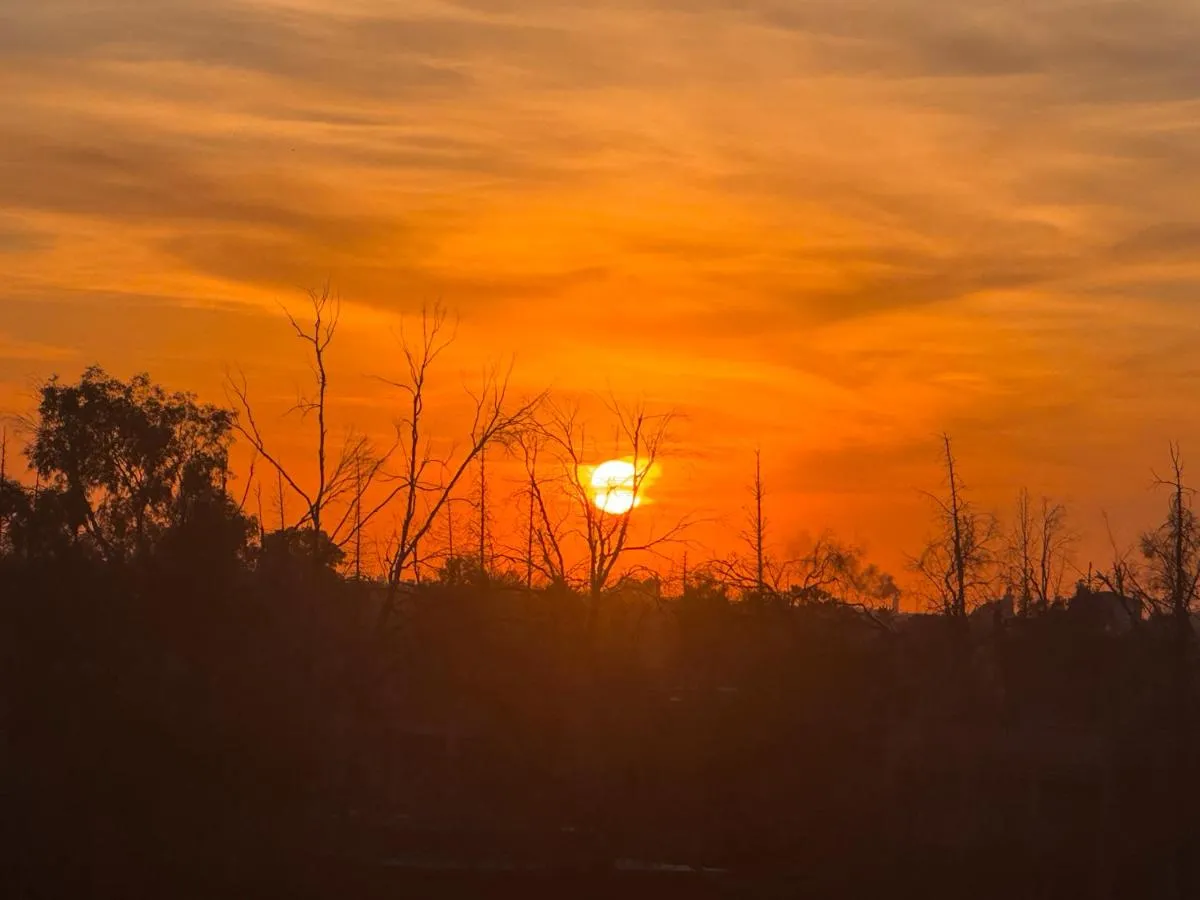 Image 5 of RENTSUITE Comfy & Central in Victor Hugo