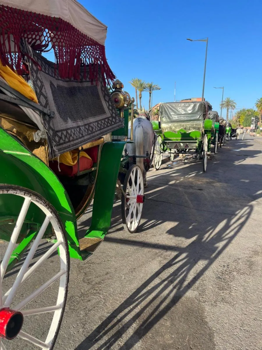 Image 1 of Résidence Mirador MAJORELLE