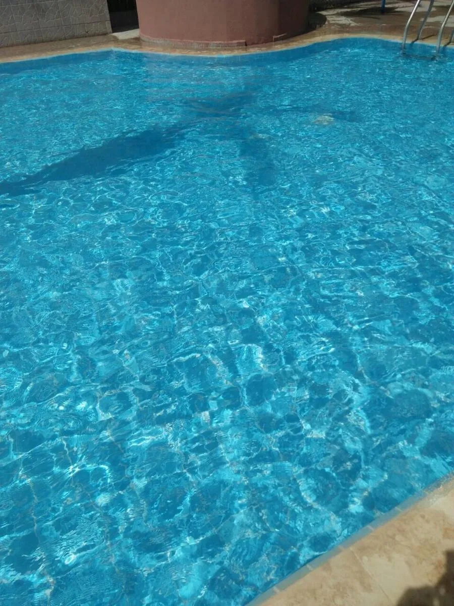 Image 3 of Riad Côté palmeraie