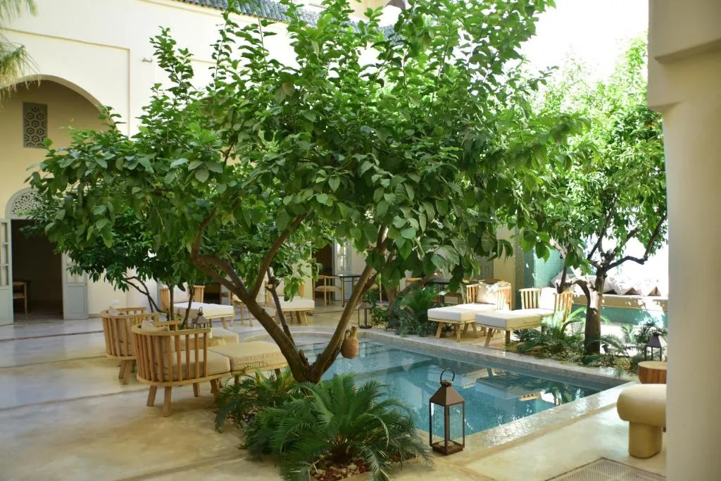 Image of Riad Emberiza Sahari