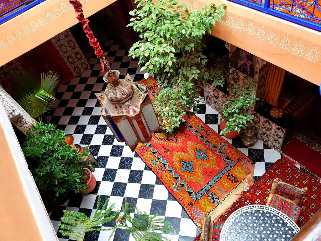 Image of Riad Konouz