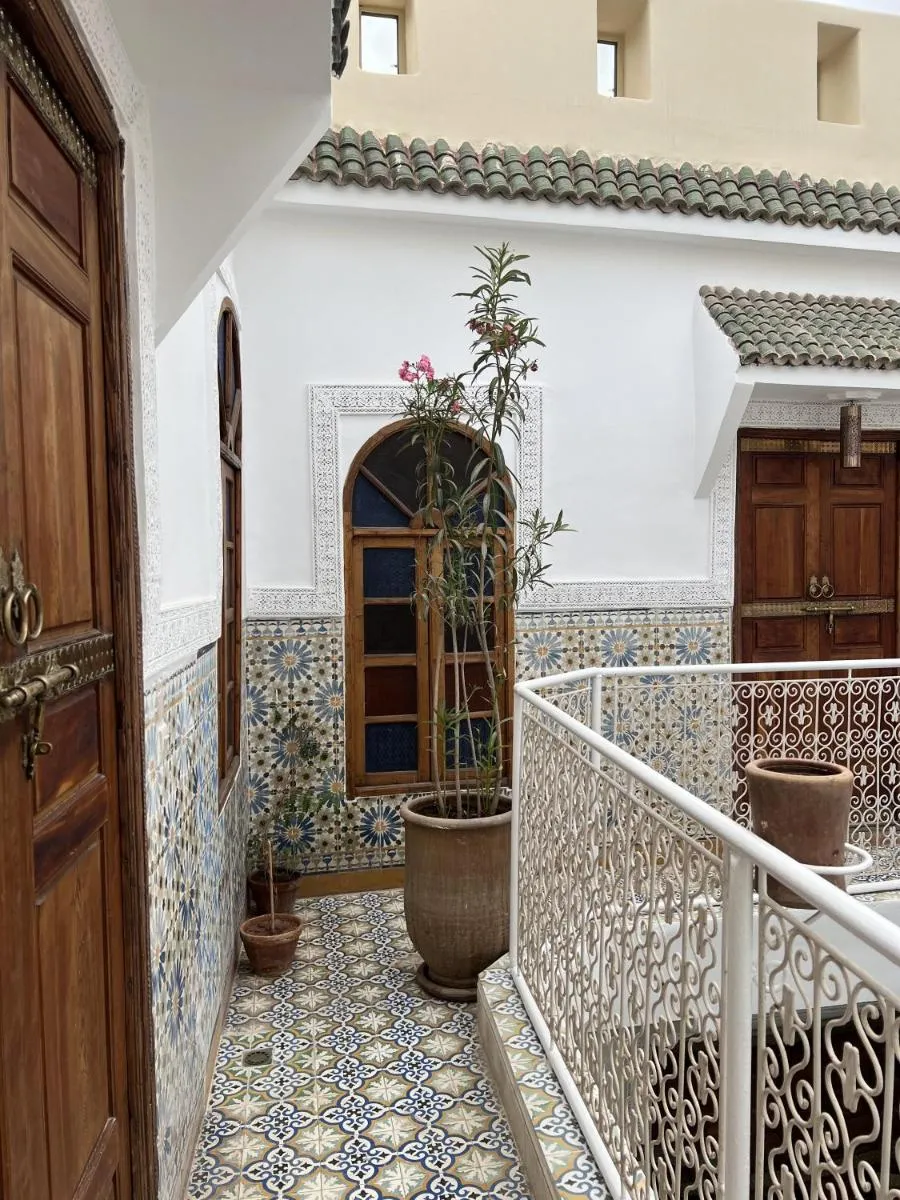 Image 6 of Riad Panthera, Médina