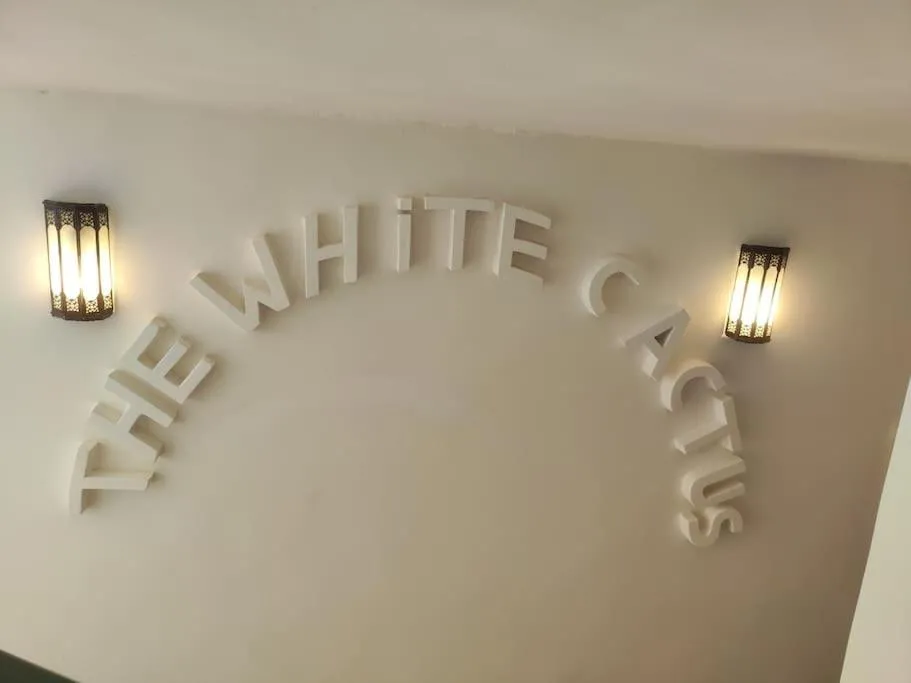 Image 1 of Riad White Cactus