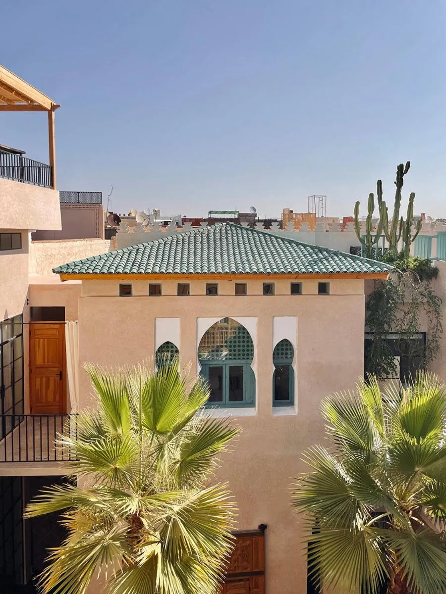 Image 6 of Riyad Lion Rouge