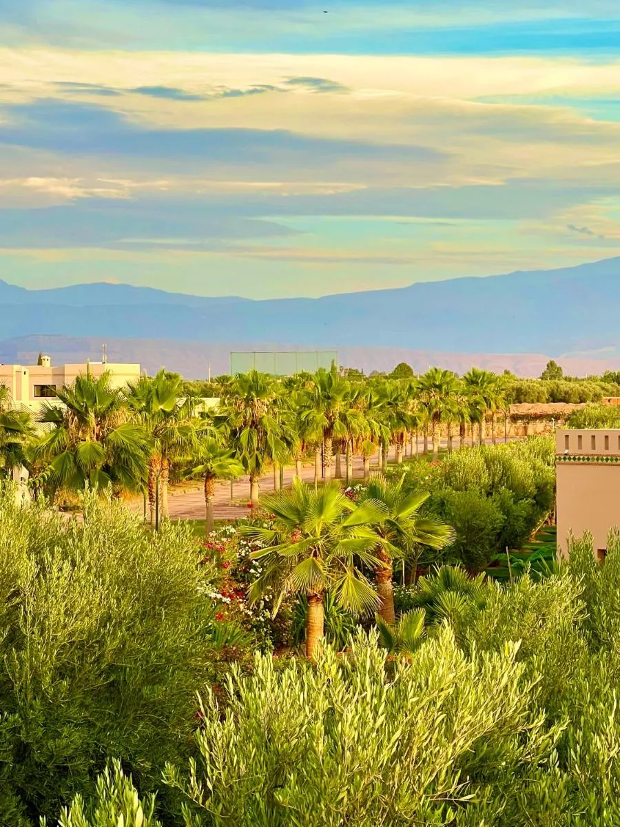 Image 6 of Villa Riadi in Marrakech