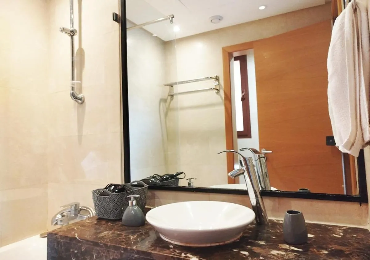 Image 4 of Vizir 301