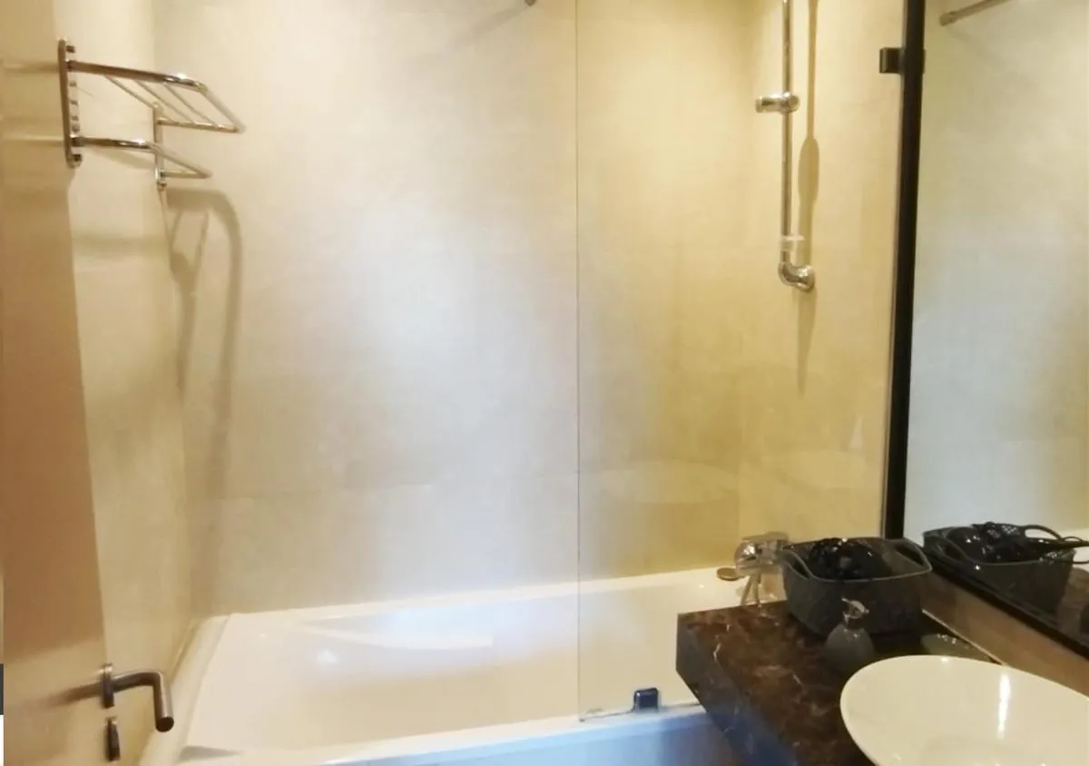 Image 5 of Vizir 301